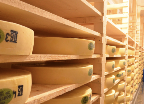 Découvrez les meilleures recettes au Comté à déguster dans votre gîte du Jura